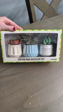 Festive Voice Potted Faux Succulent Set 3 Count brand new in box